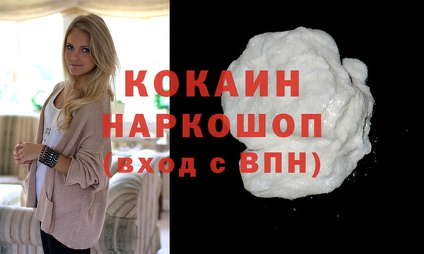 ешки Бородино