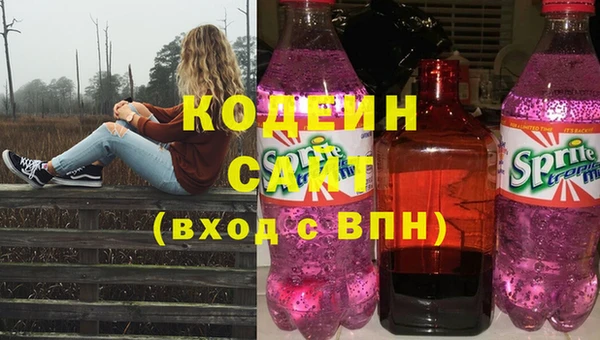 прущие грибы Бронницы