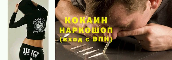ешки Бородино