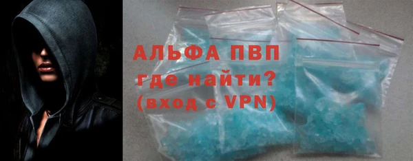 прущие грибы Бронницы