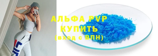 ешки Бородино