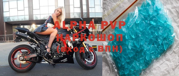 прущие грибы Бронницы