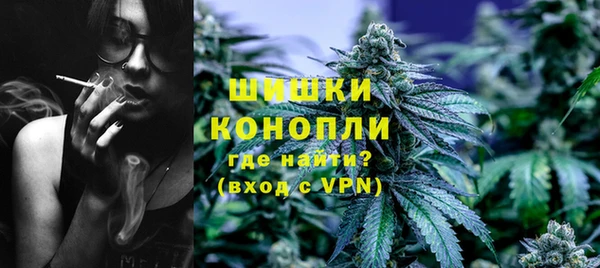 прущие грибы Бронницы