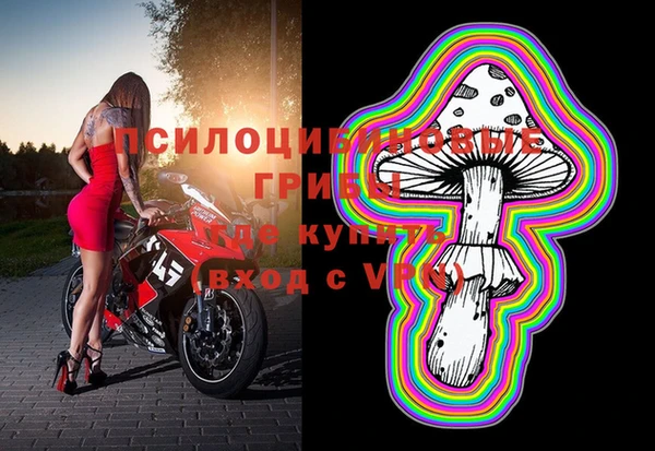 прущие грибы Бронницы