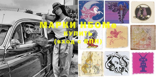 ешки Бородино