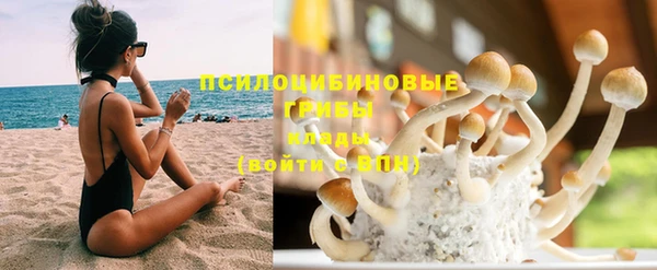 прущие грибы Бронницы