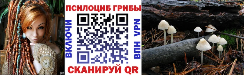 blacksprut онион  Копейск  дарк нет официальный сайт  Галлюциногенные грибы прущие грибы 